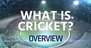 What Is Cricket? Get to know the sport