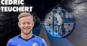 CEDRIC TEUCHERT | Welcome to FC Schalke 04 - Goals & Assists - 2017 (HD)