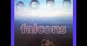 Falcons / Perdido en El Universo
