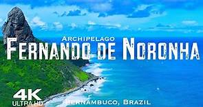 FERNANDO DE NORONHA 2023 🇧🇷 Drone Aerial 4K | Pernambuco Brazil Brasil