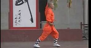 Shaolin Luohan Quan ER LU 少林罗汉拳