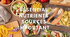 6 Basic Essential Nutrients, their Sources and their Important?