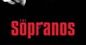 The Sopranos: Season 2 Episode 13 Funhouse