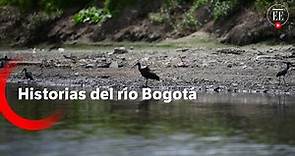 Aguas de vida: historias del río Bogotá | El Espectador