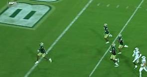 Jimmy Horn Jr. with a Spectacular 89-yard kickoff return touchdown for South Florida
