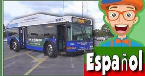 Video del Bus para Niños por Blippi Español | Videos Educacionales para Niños