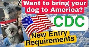 HOW TO BRING YOUR DOG TO AMERICA 2022 High-risk and Low-risk countries (What are the requirements?)