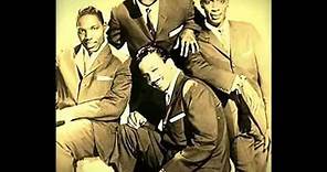 THE DRIFTERS - ''I'VE GOT SAND IN MY SHOES'' (1964)