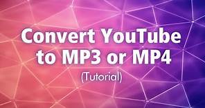 Convert YouTube to MP3 or MP4 Tutorial - AmoyShare Total Media Solution
