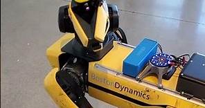 SPOT, el robot canino de BOSTON DYNAMICS ya puede HABLAR