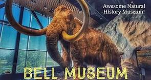 The Bell Museum: A Must-See for Science Lovers