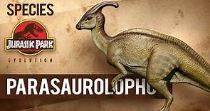 Parasaurolophus - SPECIES PROFILE | Jurassic World Evolution: Return to Jurassic Park