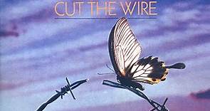 David Knopfler - Cut The Wire