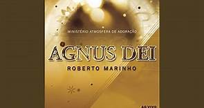 Agnus Dei (Ao Vivo)