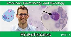 Rickettsiales (Part 2) - Veterinary Bacteriology and Mycology