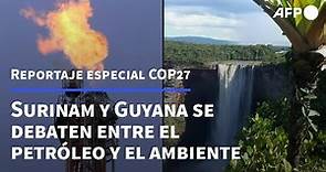 La paradoja de Surinam y Guyana, entre la riqueza del petróleo y el medio ambiente | AFP