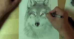 Wie zeichnet man einen WOLF ?! How to draw