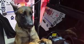 A helpful K9! - Georgia Police K9 Foundation