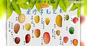芒果產季到！　台灣常見芒果品種多達16種 - 華視新聞網