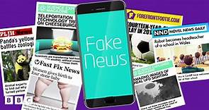 Fake news: What is it? And how to spot it