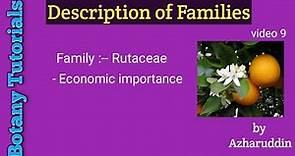 Rutaceae//Economic importance//