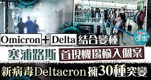 【變種病毒】Omicron Delta結合成新變種病毒　專家：有機會實驗樣本受污染所致 - 香港經濟日報 - TOPick - 健康 - 健康資訊