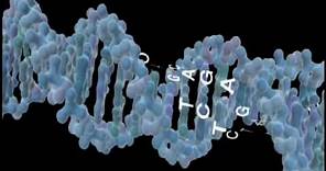 Signature in the Cell by Stephen Meyer