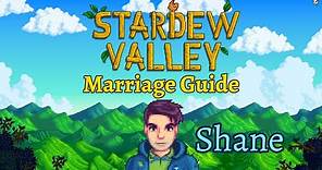 Stardew Valley Marriage Guide - Shane