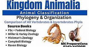 Introduction to Kingdom Animalia | Diversity Among Animals | Classification & Phylogeny