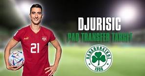 Filip Djuricic - Panathinaikos Transfer Target (HD)