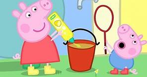 Peppa Pig and George Pig Play With Bubbles | Peppa Pig Official Family Kids Cartoon