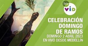 Celebración Domingo de Ramos 2 Abril 2023, Procesión y Santa Misa - Tele VID