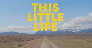 Tom Rosenthal - This Little Life [Lyrics]