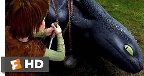 How to Train Your Dragon (2010) - Freeing The Night Fury Scene (1/10) | Movieclips
