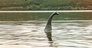 Loch Ness Monster - The Surgeon's Photo