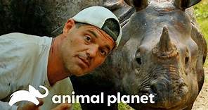 Frank se salva de una embestida de rinoceronte | Wild Frank en India | Animal Planet