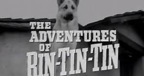 The Adventures of Rin Tin Tin (1954 - 1959)