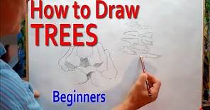 How to Draw Trees - Simply