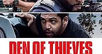 Den of Thieves - movie: watch streaming online