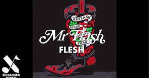 Mr Flash - Flesh (Official Audio)