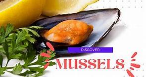Mussels - Curious facts about Mussels, nutritive qualities and health benefits.
