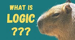 What Is Logic | The Study of Correct Reasoning