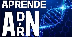 ¿Qué es el ADN y el ARN? | EXPLICACIÓN DEFINITIVA