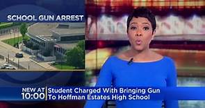 Student charged with bringing gun to Hoffman Estates High School