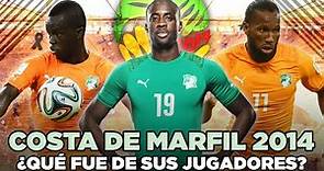 La ÚLTIMA COSTA DE MARFIL MUNDIALISTA: ¿QUÉ FUE de sus JUGADORES? 🇨🇮​