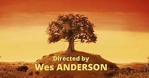 Directed by Wes ANDERSON playlist
