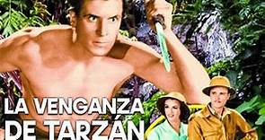 La venganza de Tarzán | Película clásica en español | Cine de aventuras
