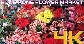 ULTRA HD 4K FLOWER MARKET HONG KONG | MONG KOK FLOWER MARKET | 旺角花墟
