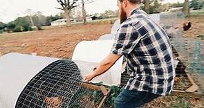 the $5 Chicken Tractor
