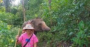 One of the best moments of... - Blue Elephant Thailand Tours